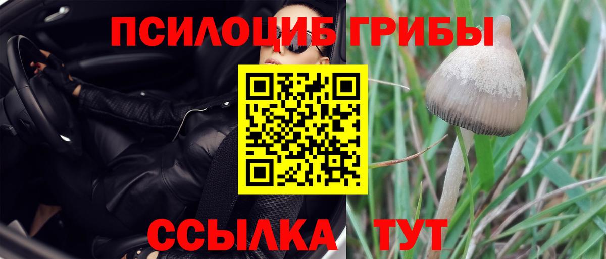 Похвистнево  продажа наркотиков  Галлюциногенные грибы мицелий  Вход с VPN  Галлюциногенные грибы MAGIC MUSHROOMS 